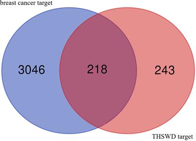 Exploration of the Potential Mechanism of Tao Hong Si Wu Decoction for the Treatment of Breast Cancer Based on Network Pharmacology and In Vitro Experimental Verification